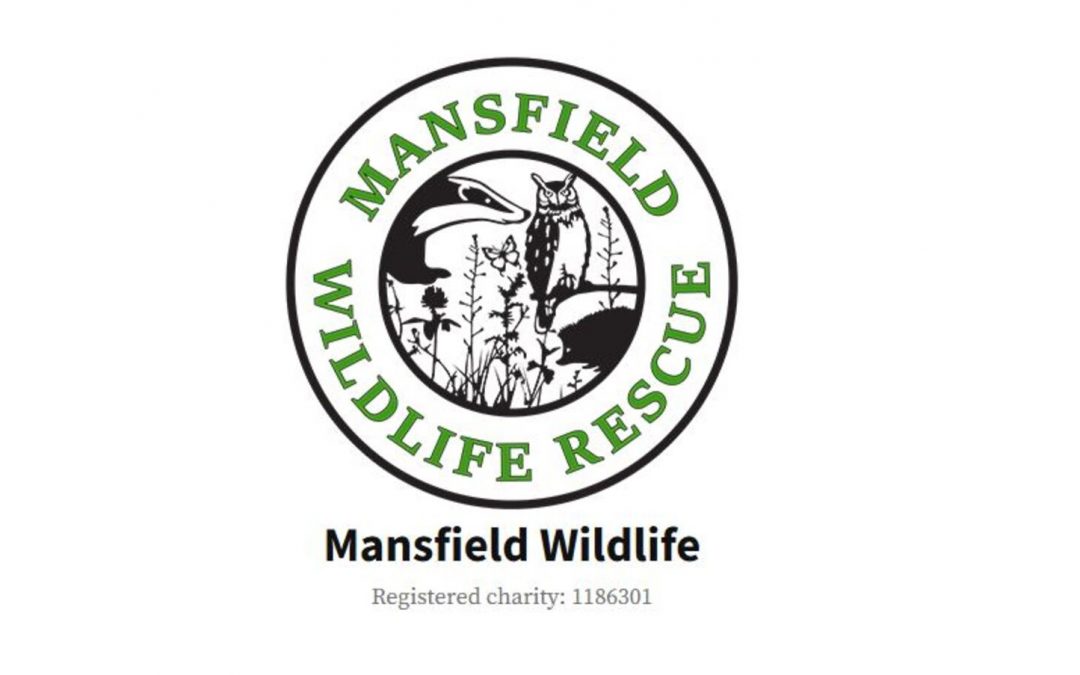 Vaughandale’s Chosen Charity